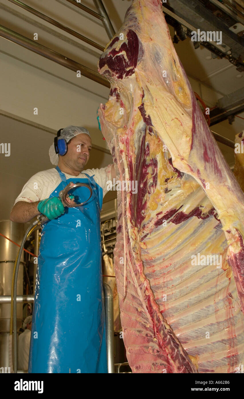 Rindfleisch auf Qualitätskontrolle Stockfoto