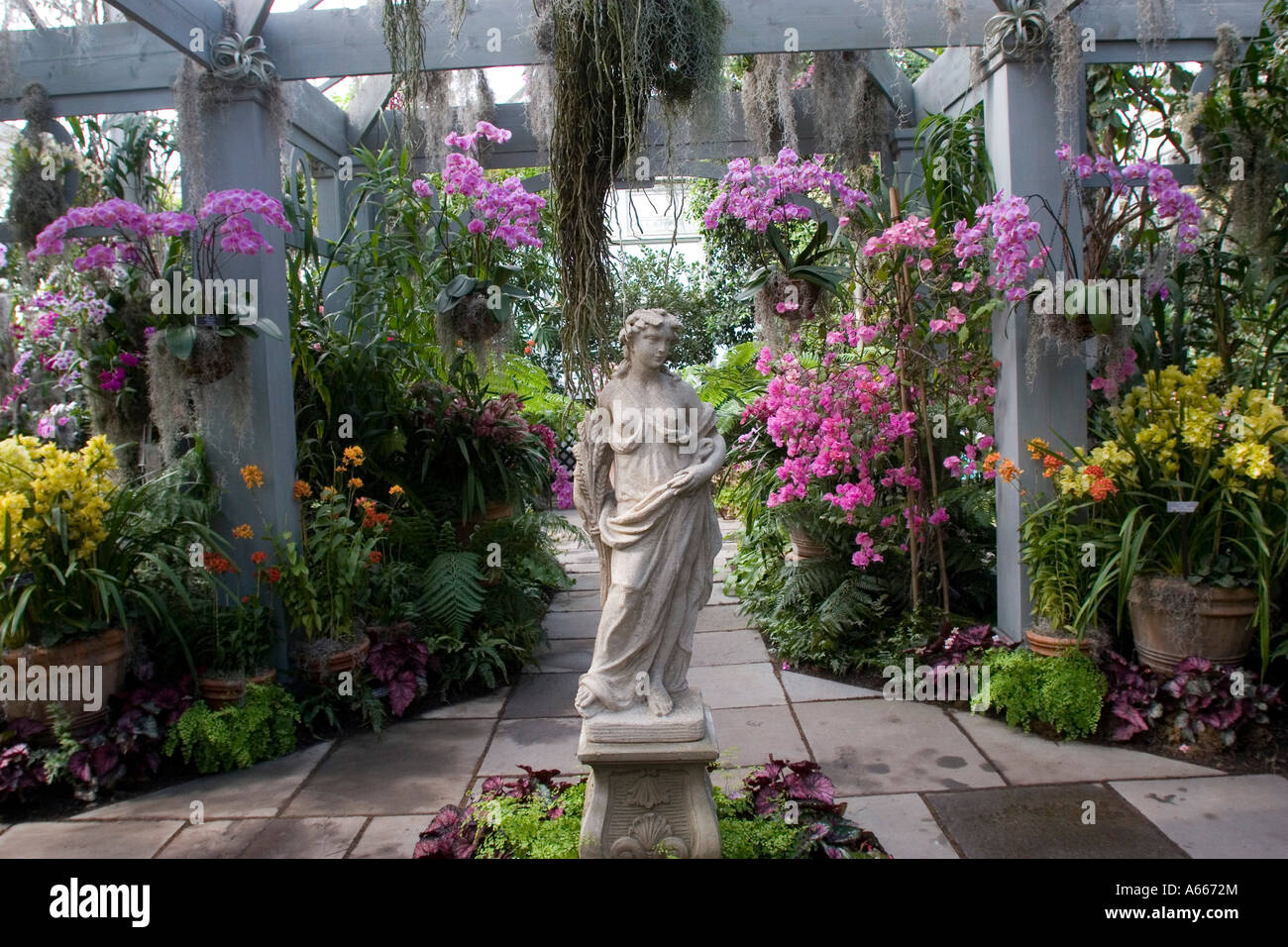 Orchidee Show In Enid A Haupt Konservatorium In New York Botanical
