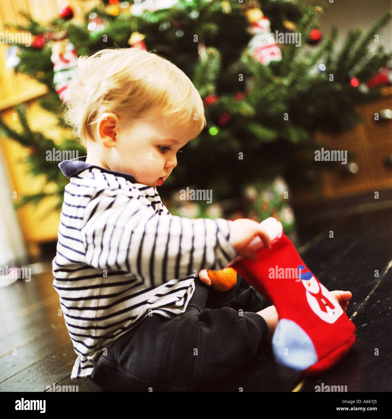 Ein kleines Kind auf der Suche in einem Weihnachts-Strumpf Stockfoto