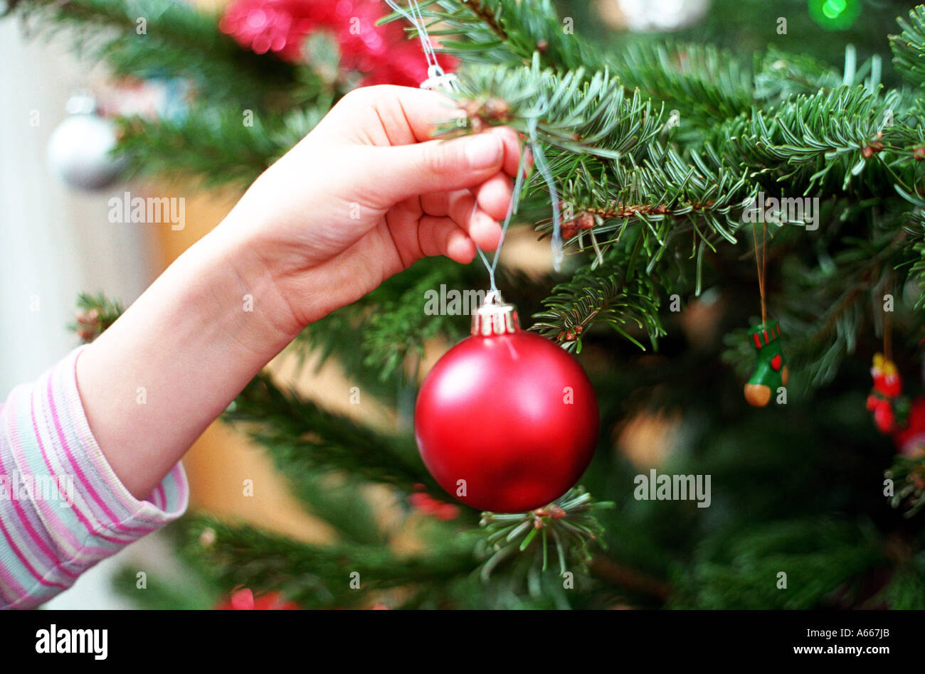 Ein Kind eine Kugel auf einem Weihnachtsbaum hängen Stockfoto