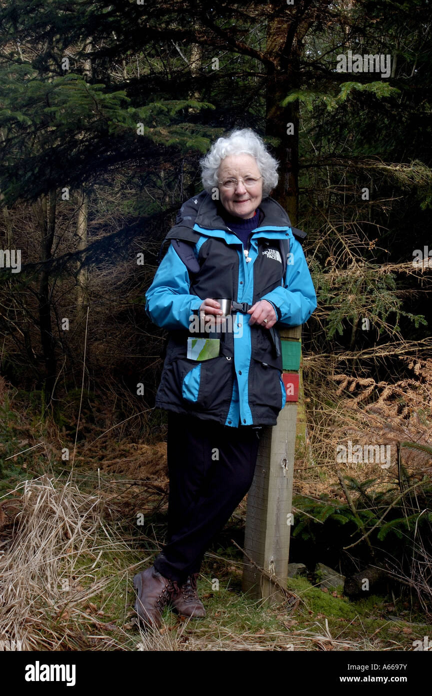 Walker in Grizedale Forest Cumbria Stockfoto