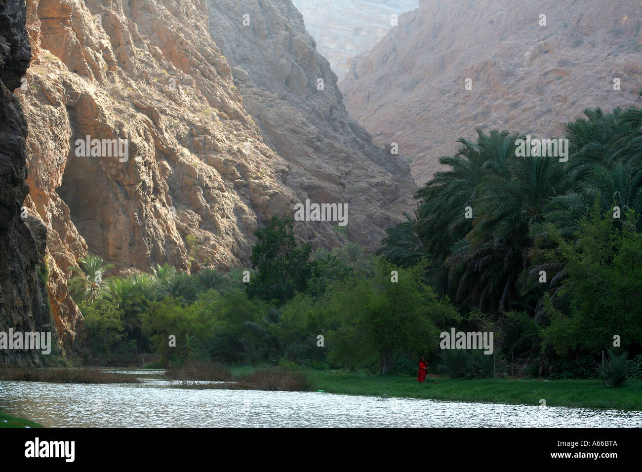 Frau in einem roten Dishdasha unter grünen Palmen in Wadi Shab, Oman Stockfoto