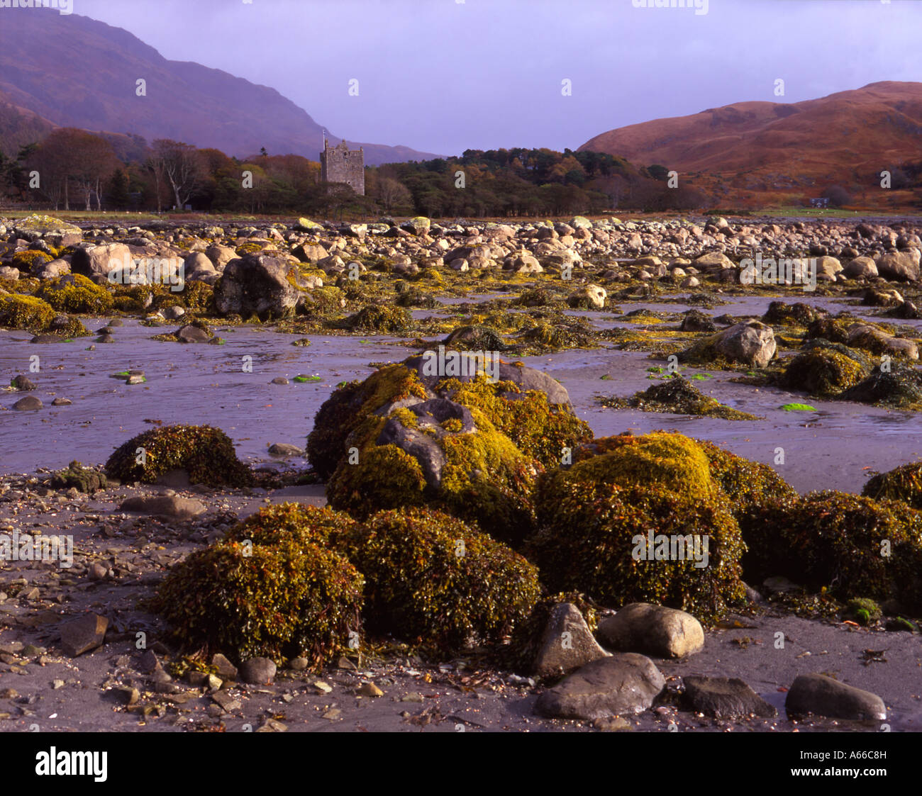 Loch Buie und Schloss Moy, Isle of Mull. Schottland Stockfoto