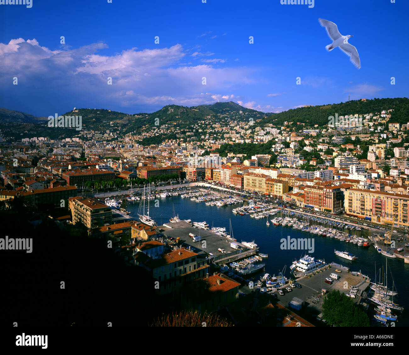 FR - COTE d ' Azur: Schöne Stadt und Hafen Stockfoto
