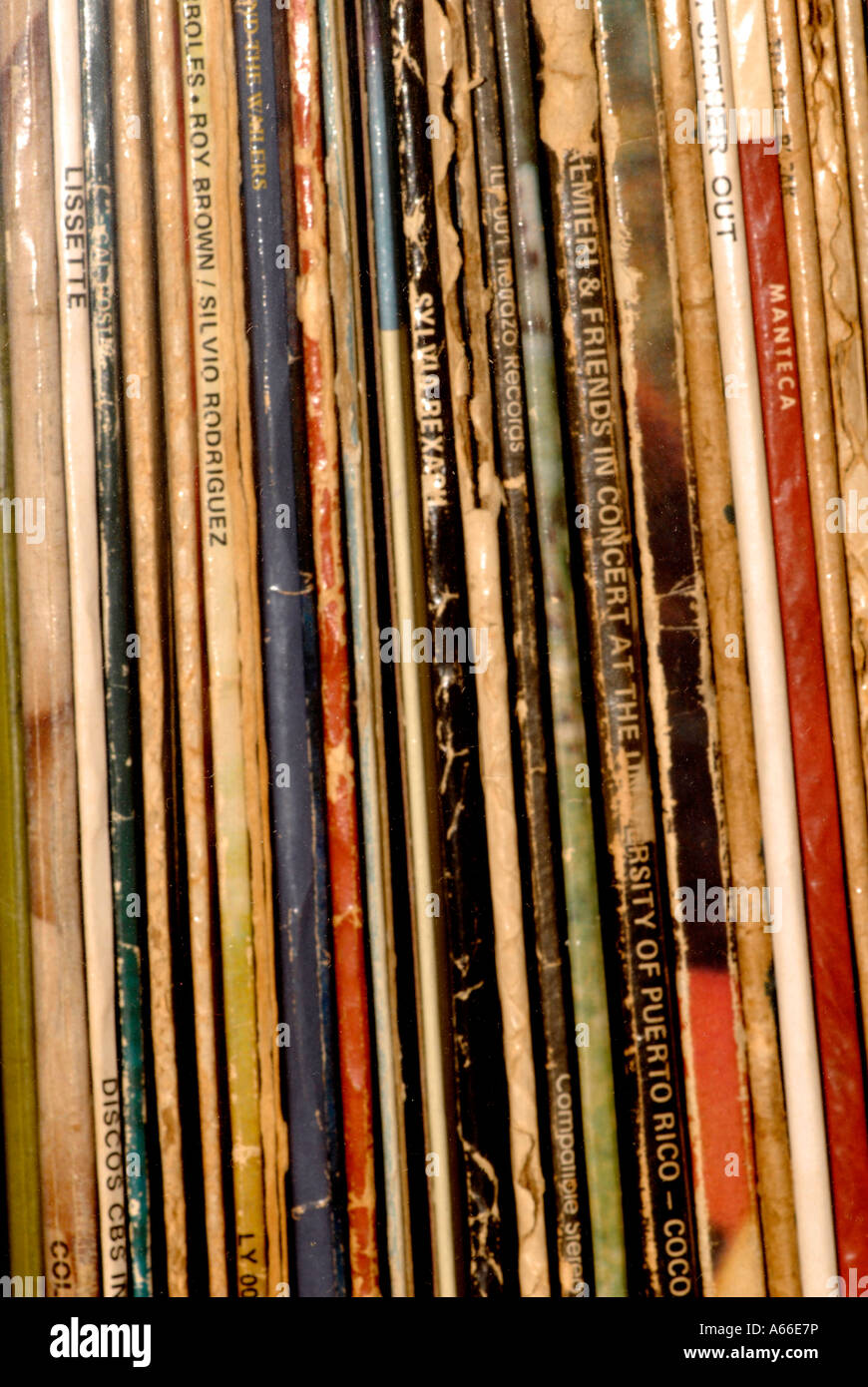 LP-Alben Plattensammlung Records Stockfoto