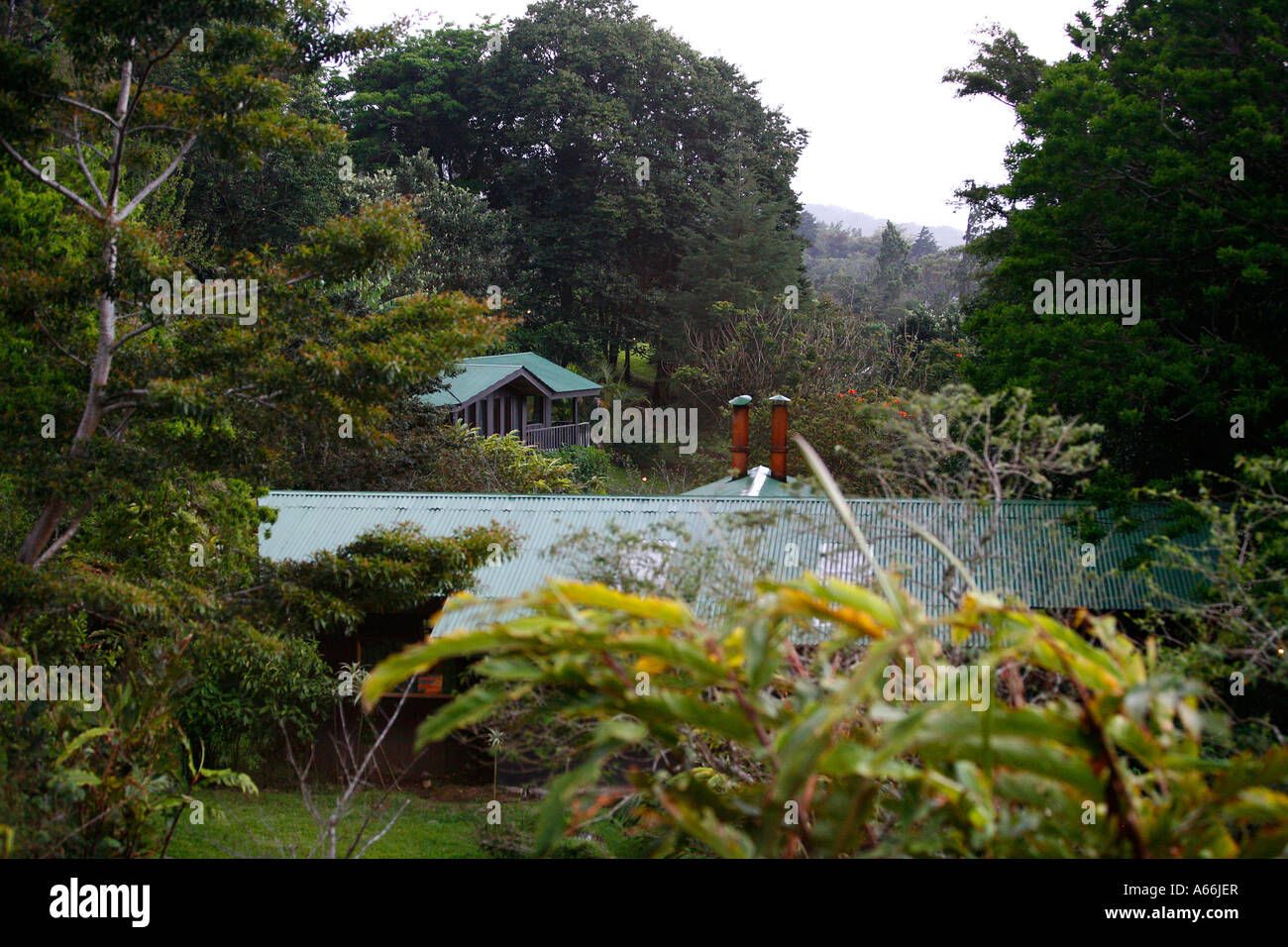 El Sapo Dorado Hotel Santa Elena Monteverde Costa Rica Stockfoto