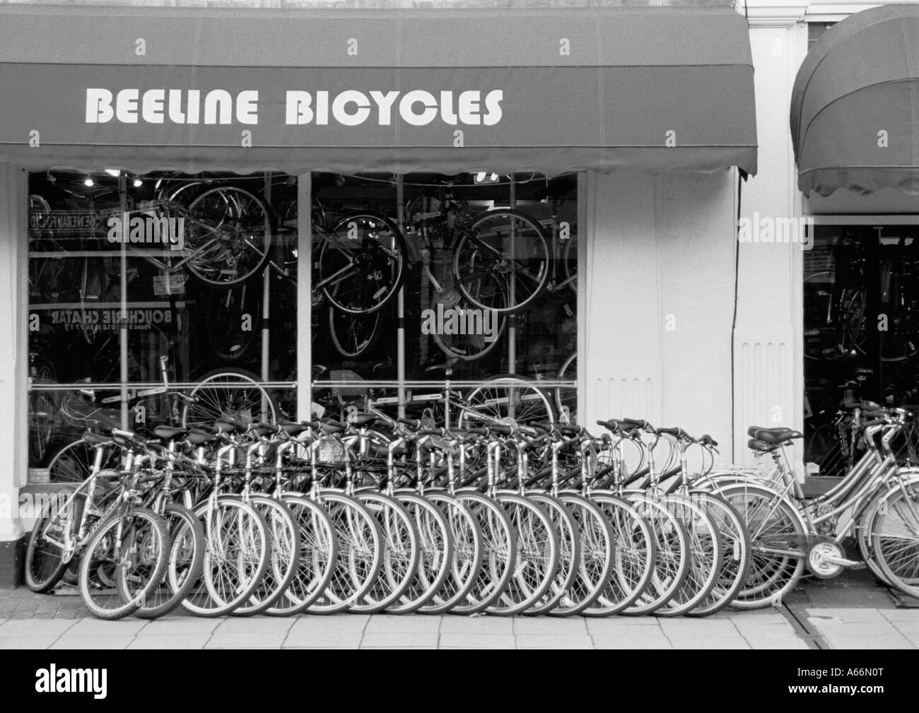Beeline Fahrräder Shop, 59-65 Cowley Straße, Oxford England UK 2004: Zeile von Fahrrädern aufgereiht in Shops anzeigen Stockfoto