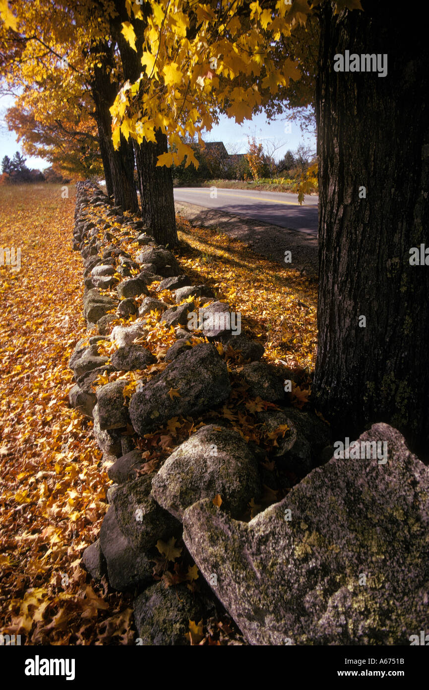 New England Steinmauer Herbstfarben Stockfoto