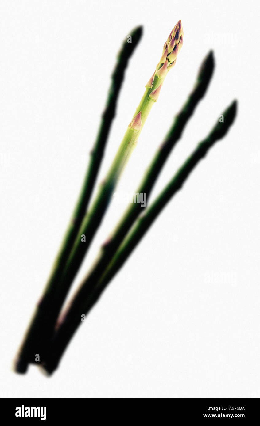 Spargel Stockfoto