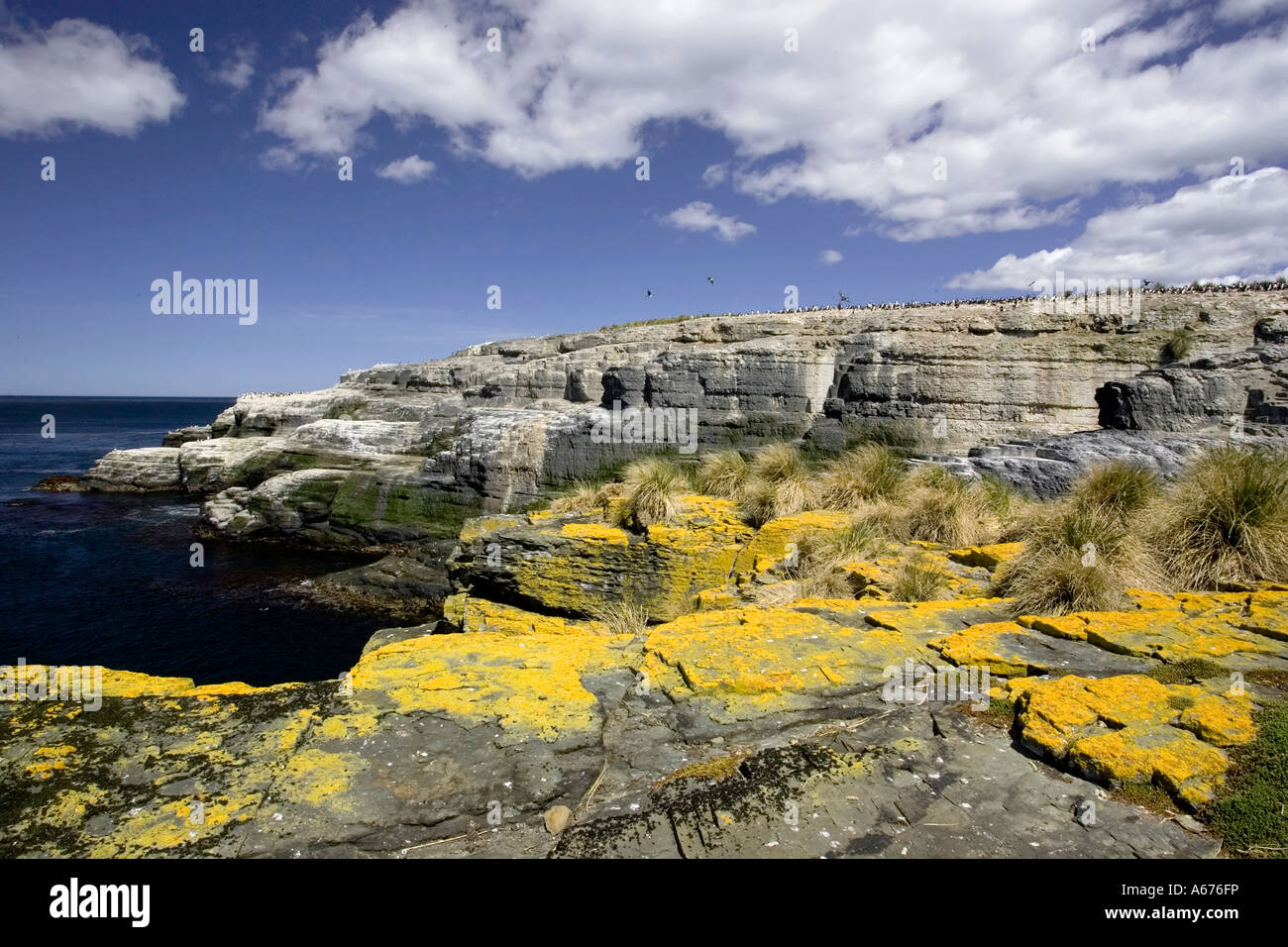 Die Schlucht bei trüber Insel den Falkland-Inseln Stockfoto
