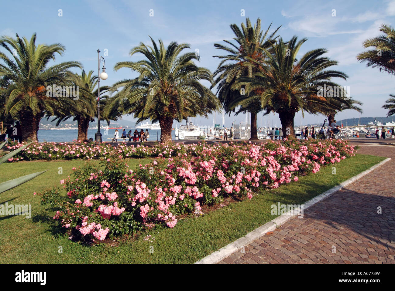 Handelshafen Strandpromenade mit Palmen & Sommer Blumen in der Stadt von La Spezia in Ligurien Italien Europa gefüttert Stockfoto