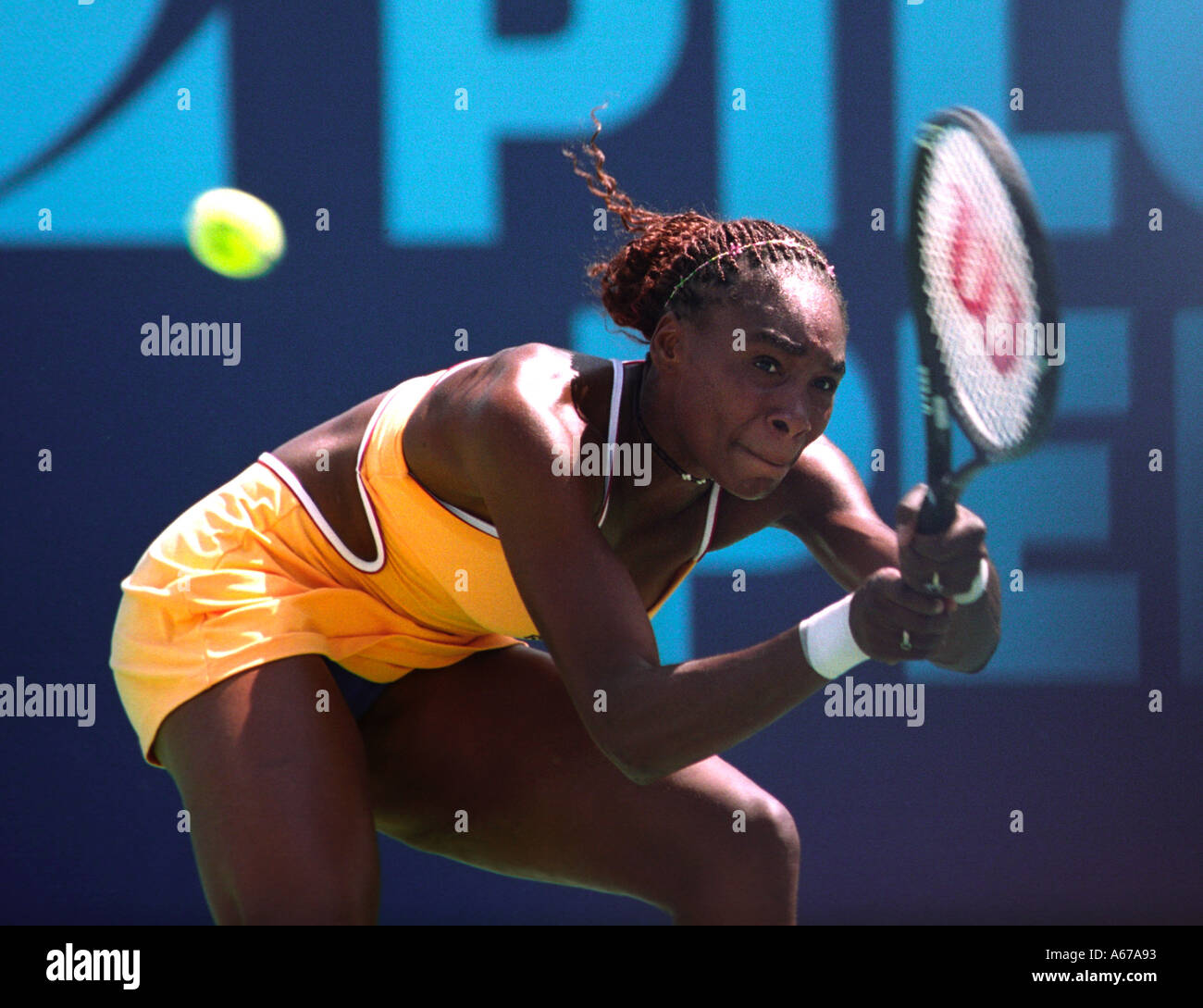 Venus Williams auf ihrem Weg zum Gewinn der internationalen Pilot Pen Tennis-Turnier Stockfoto