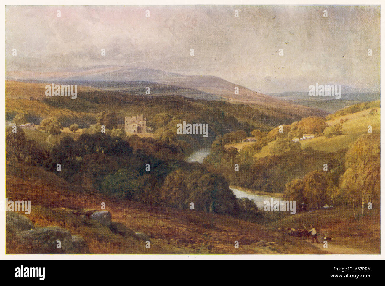 Yorkshire Moor Stockfoto