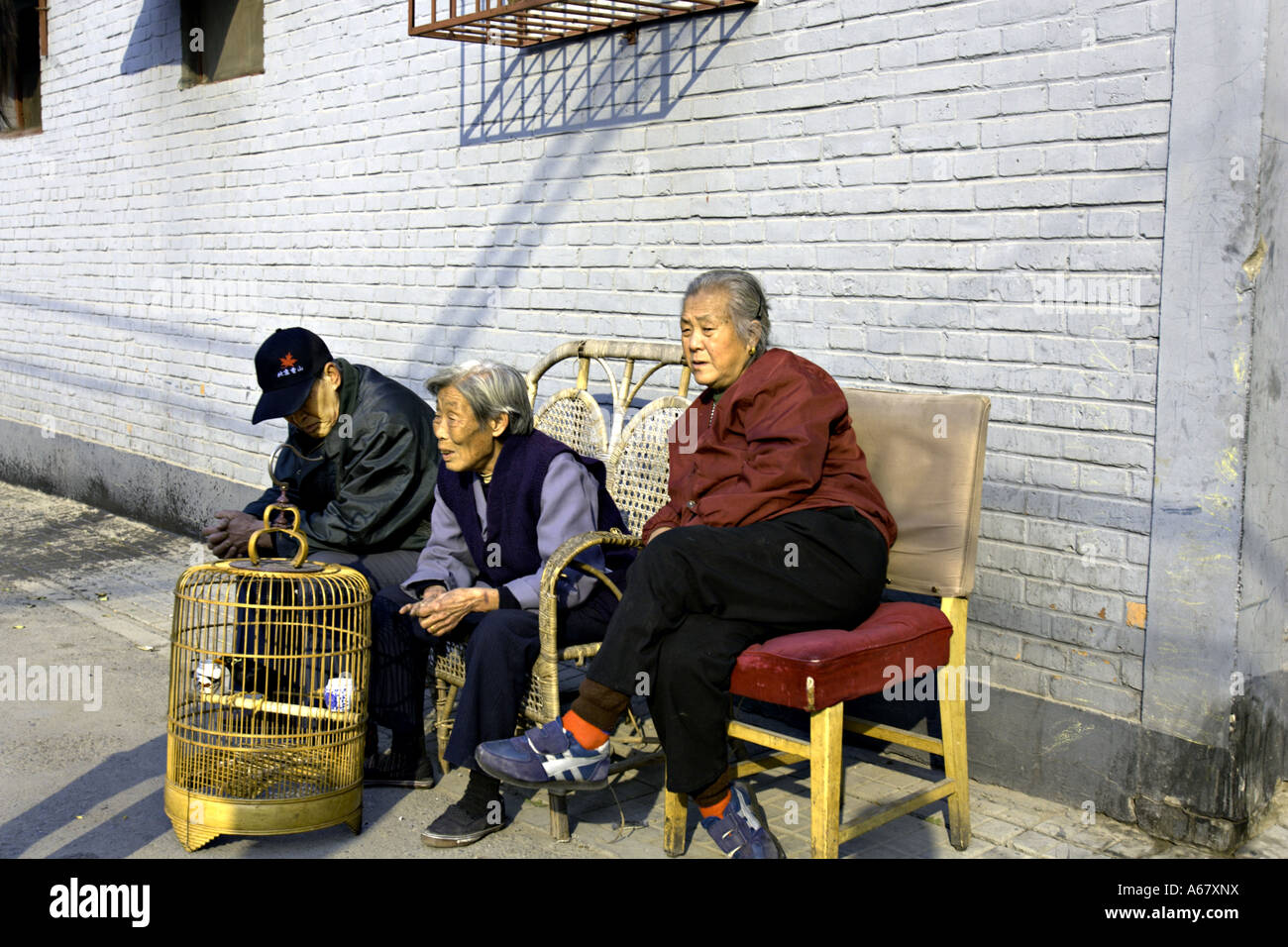 CHINA BEIJING ältere chinesische Männer und Frauen sitzen in der Sonne außerhalb ihrer Heimat Peking mit ihrem Haustier Mynah Vogel in einem Käfig Stockfoto