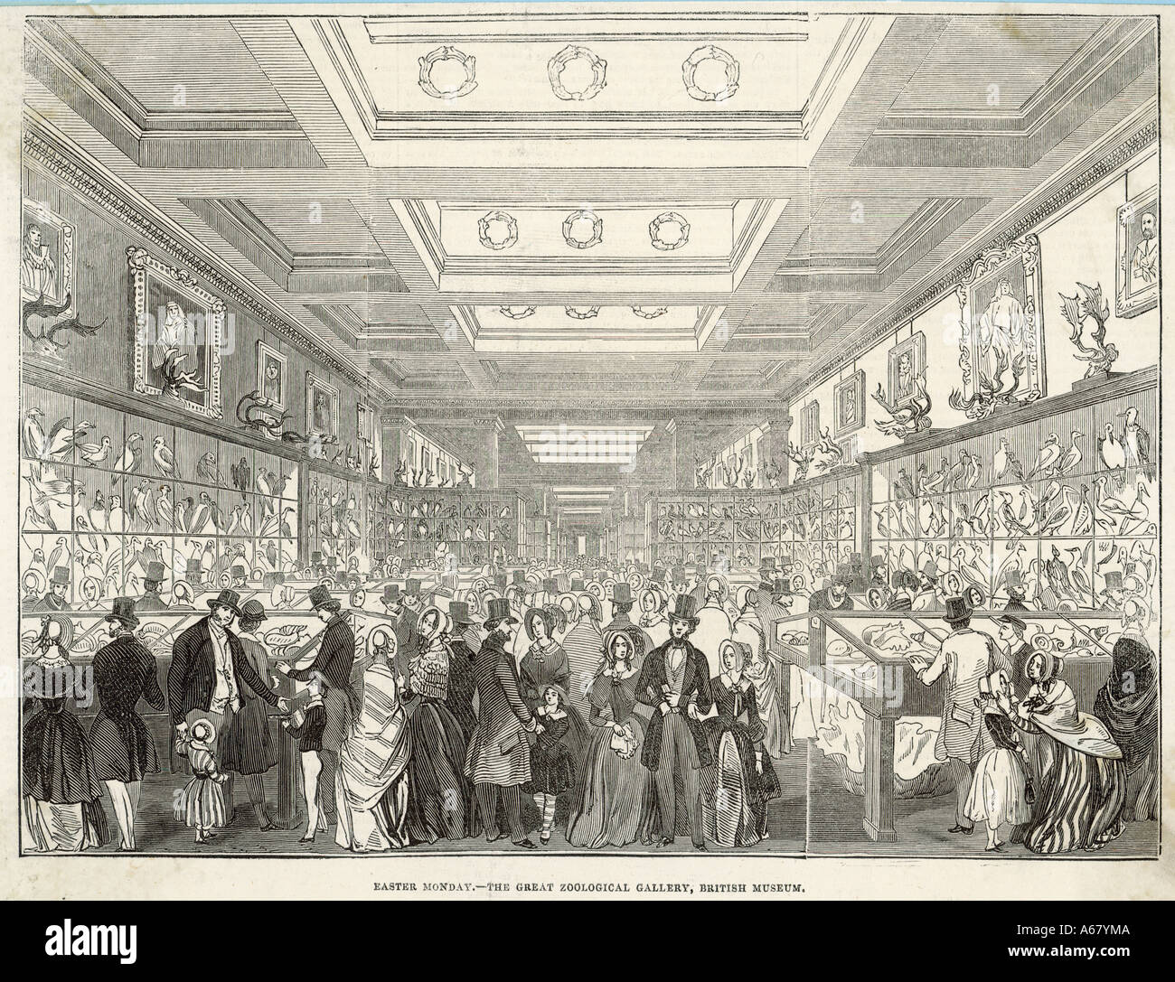 Brit Museum Zoo Galerie Stockfoto