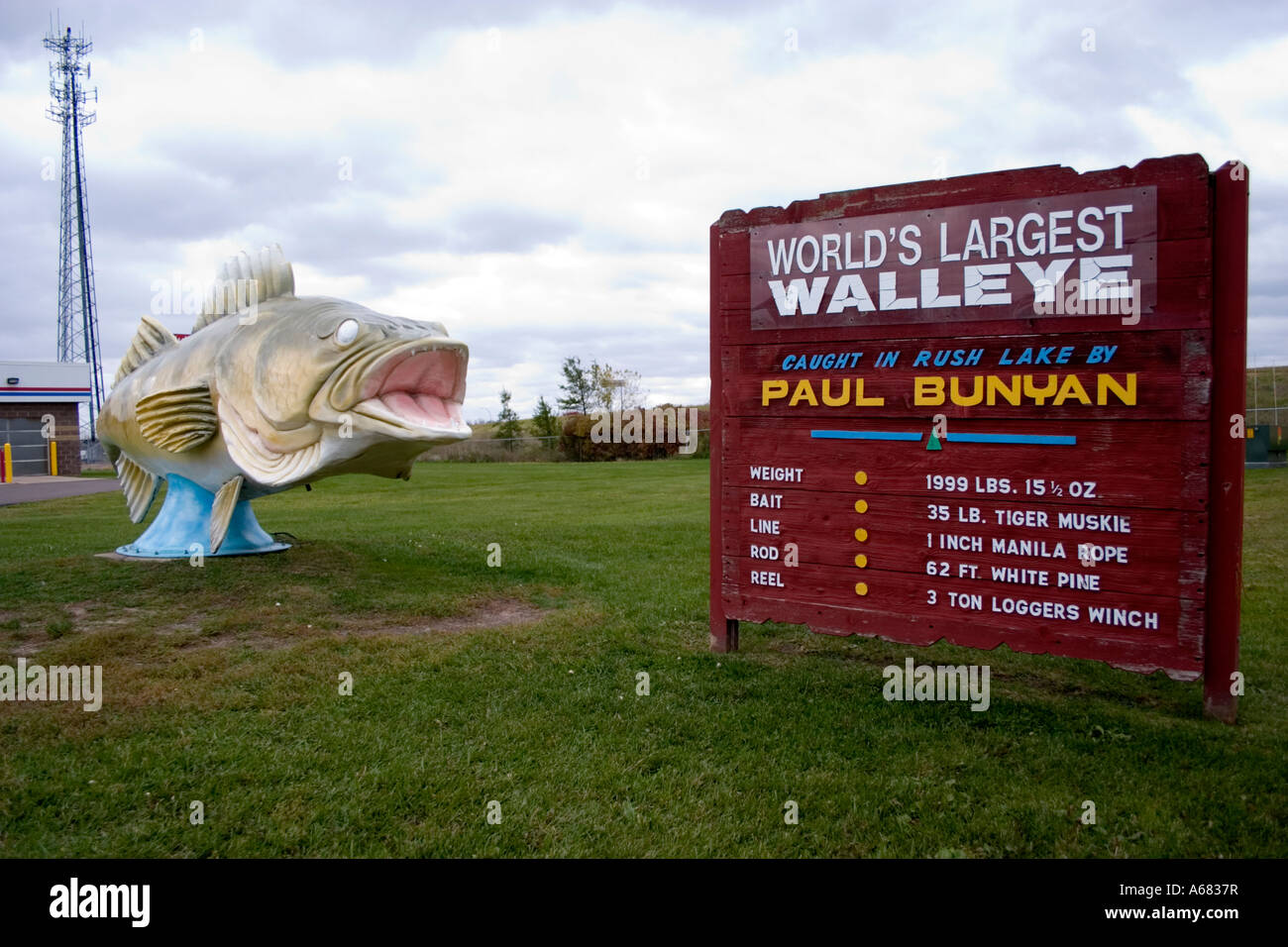 Die Welten größte Zander gefangen von Paul Bunyan auf Rush Lake.  Rush Stadt Minnesota USA Stockfoto