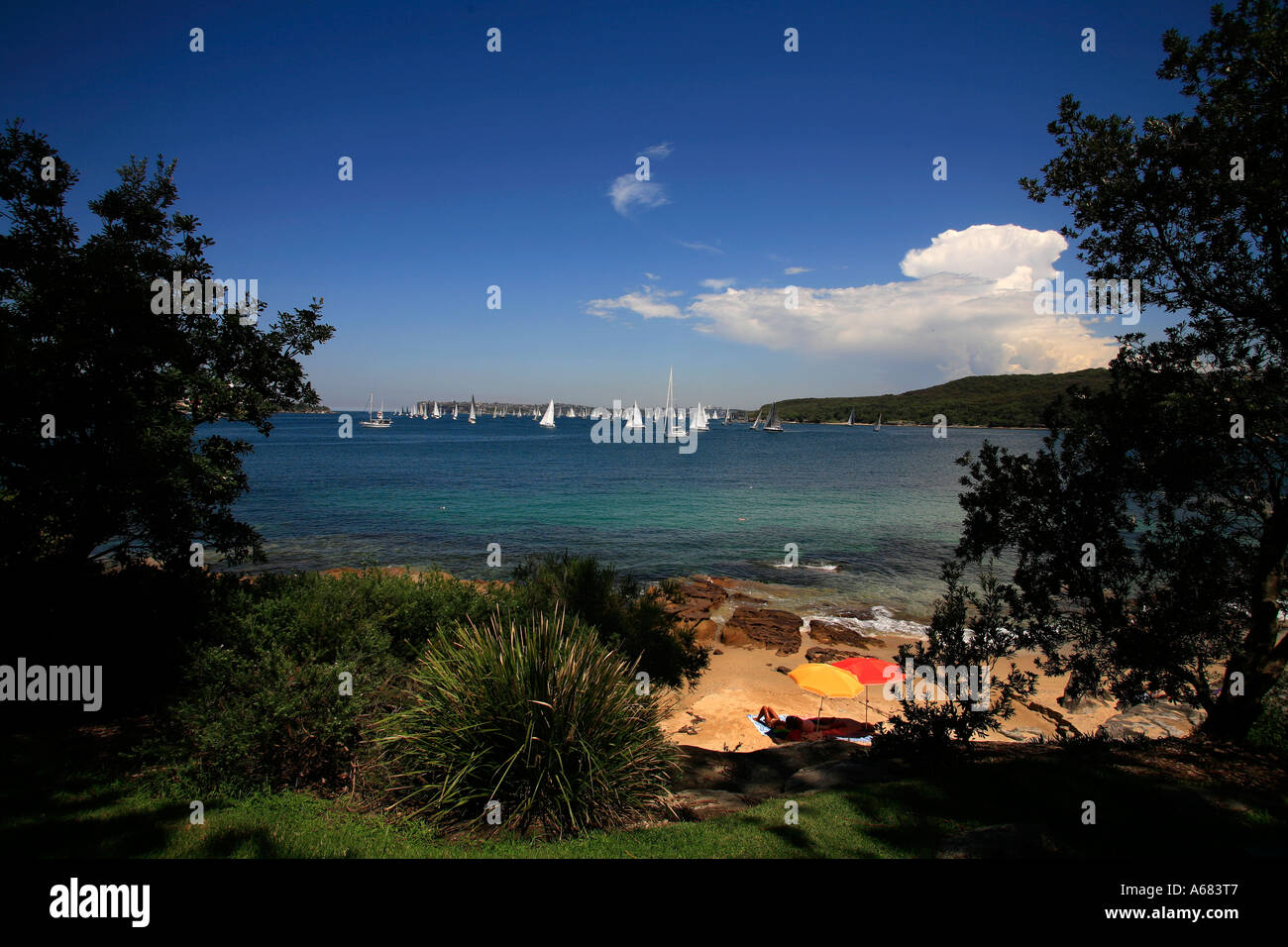 Delwood Strand in der Nähe von Manly Sydney Harbour Stockfoto