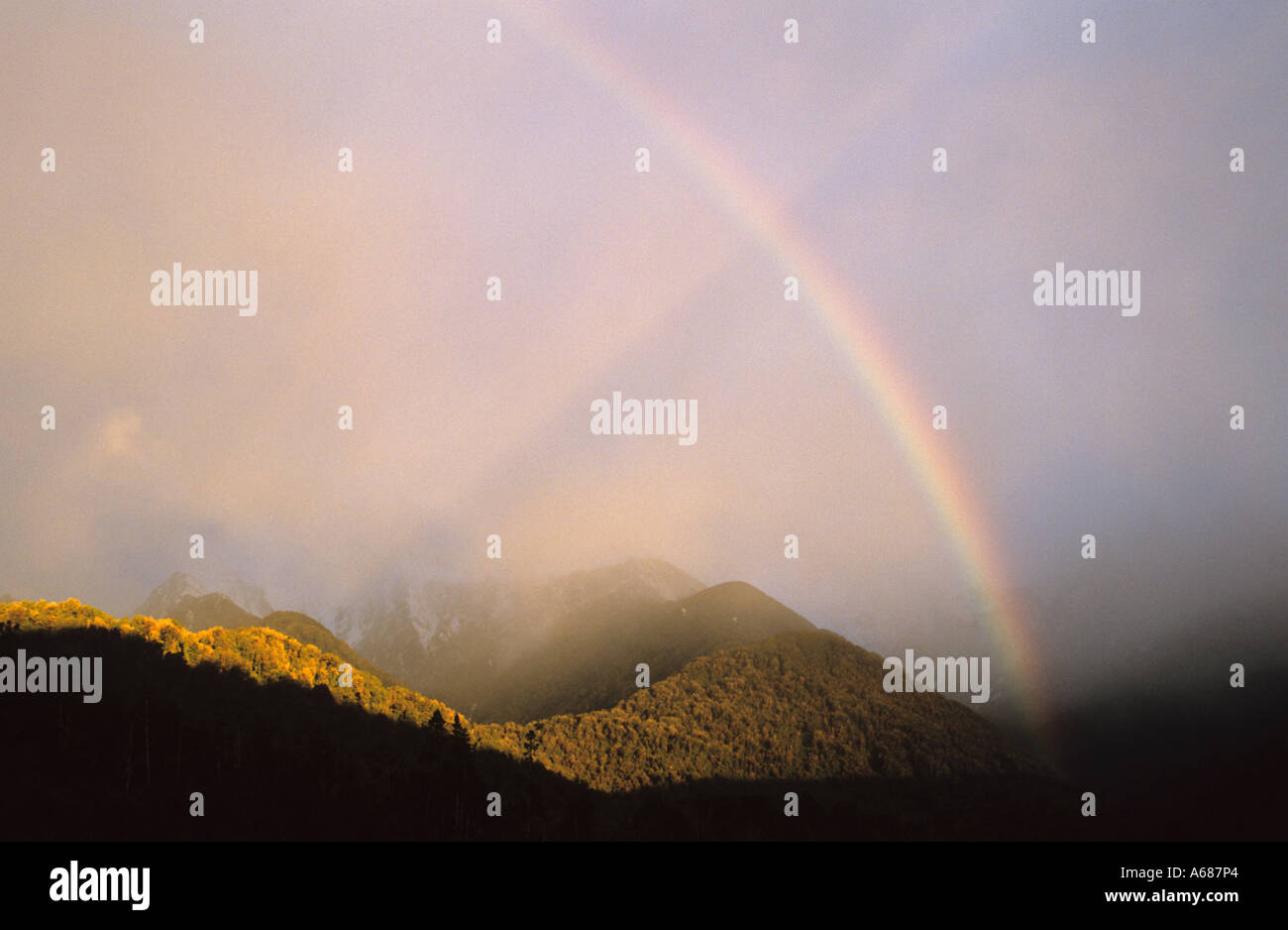 Ein Regenbogen und anti Sonnenstrahlen bei Sonnenuntergang über den Regenwald in der Nähe von Franz Josef im Westland Tai Poutini National Park, Neuseeland Stockfoto