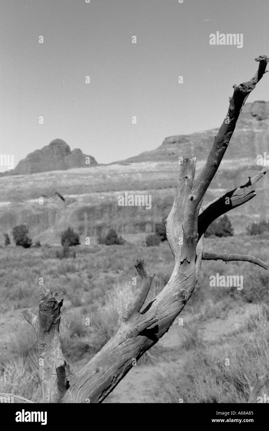 Arch-Nationalpark USA Stockfoto