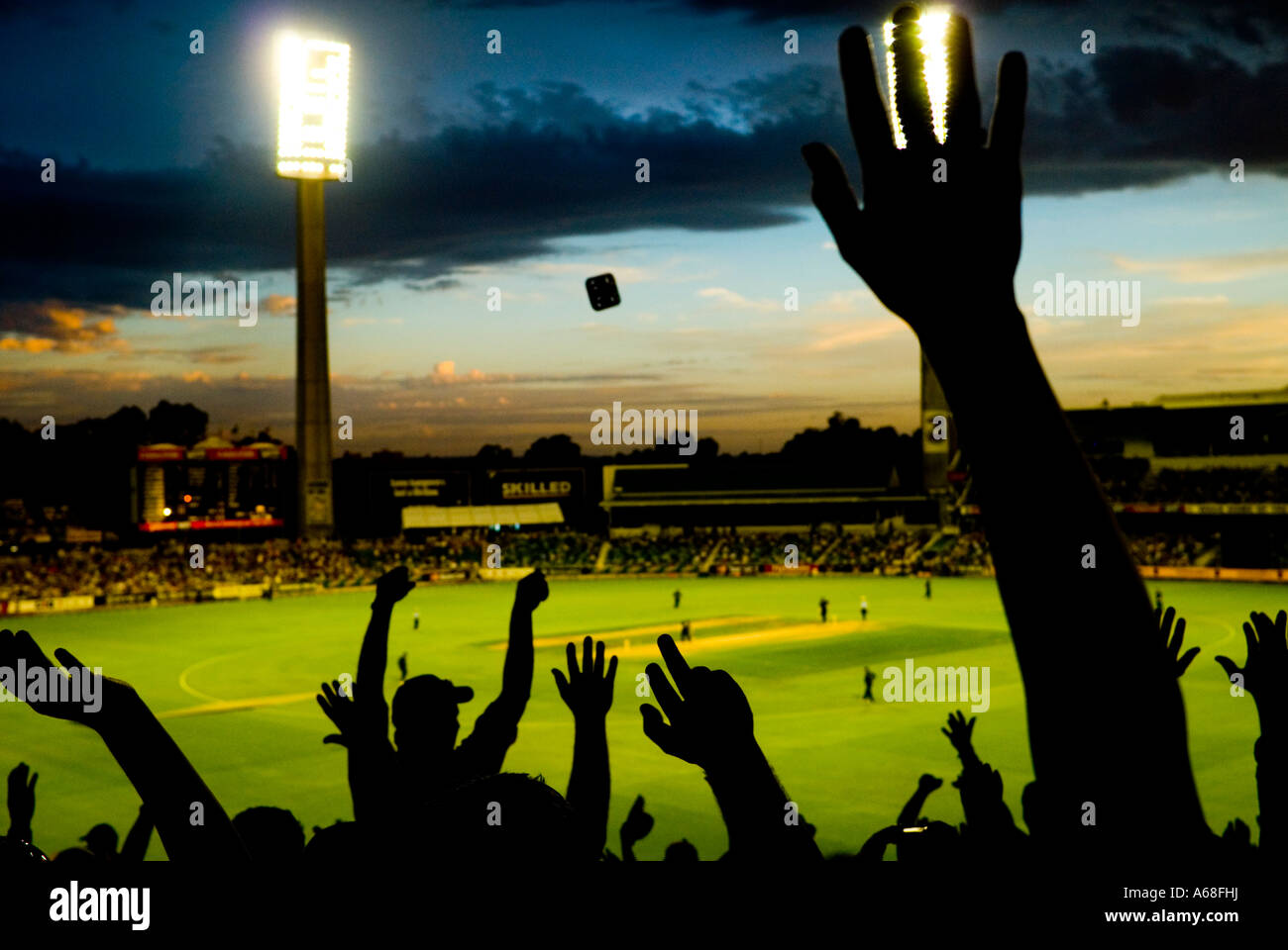 Fans tut Laola-Welle bei Nacht Cricket match, Perth, Western Australia Stockfoto