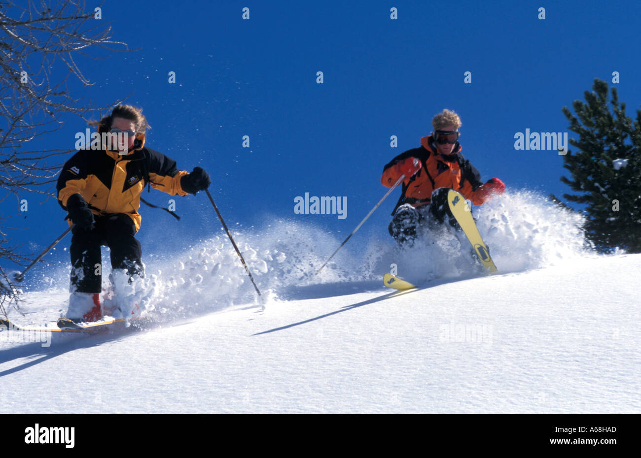 Paar Skifahrer abseits der Piste im Tiefschnee, die durch die Bäume Stockfoto