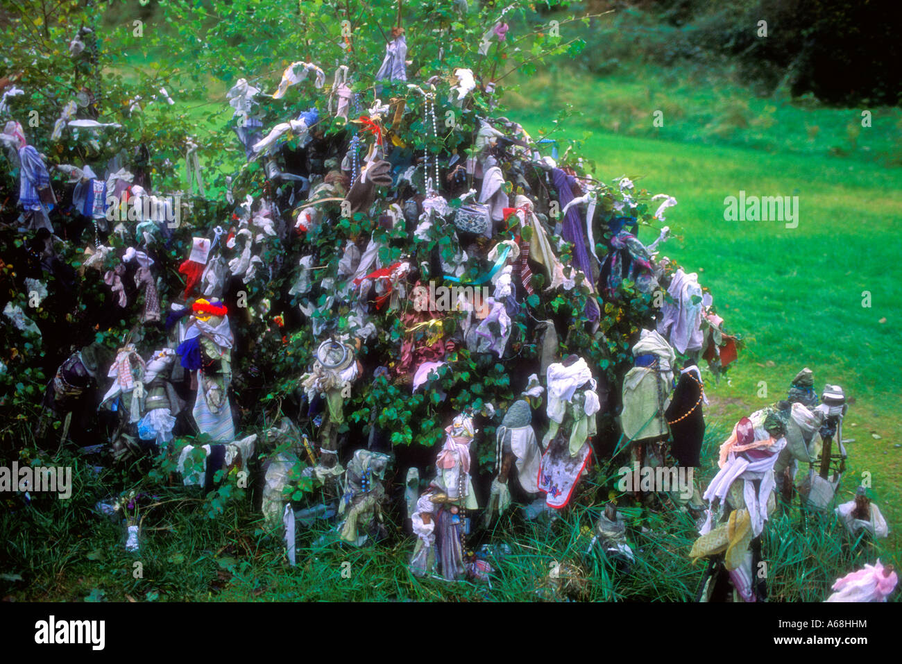 A prayer tree Ireland Stockfoto