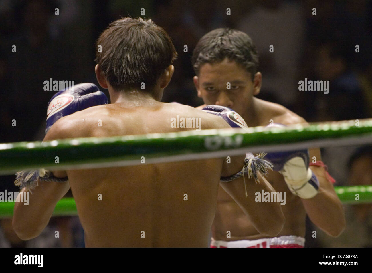 Muay Thai - Konfrontation Stockfoto