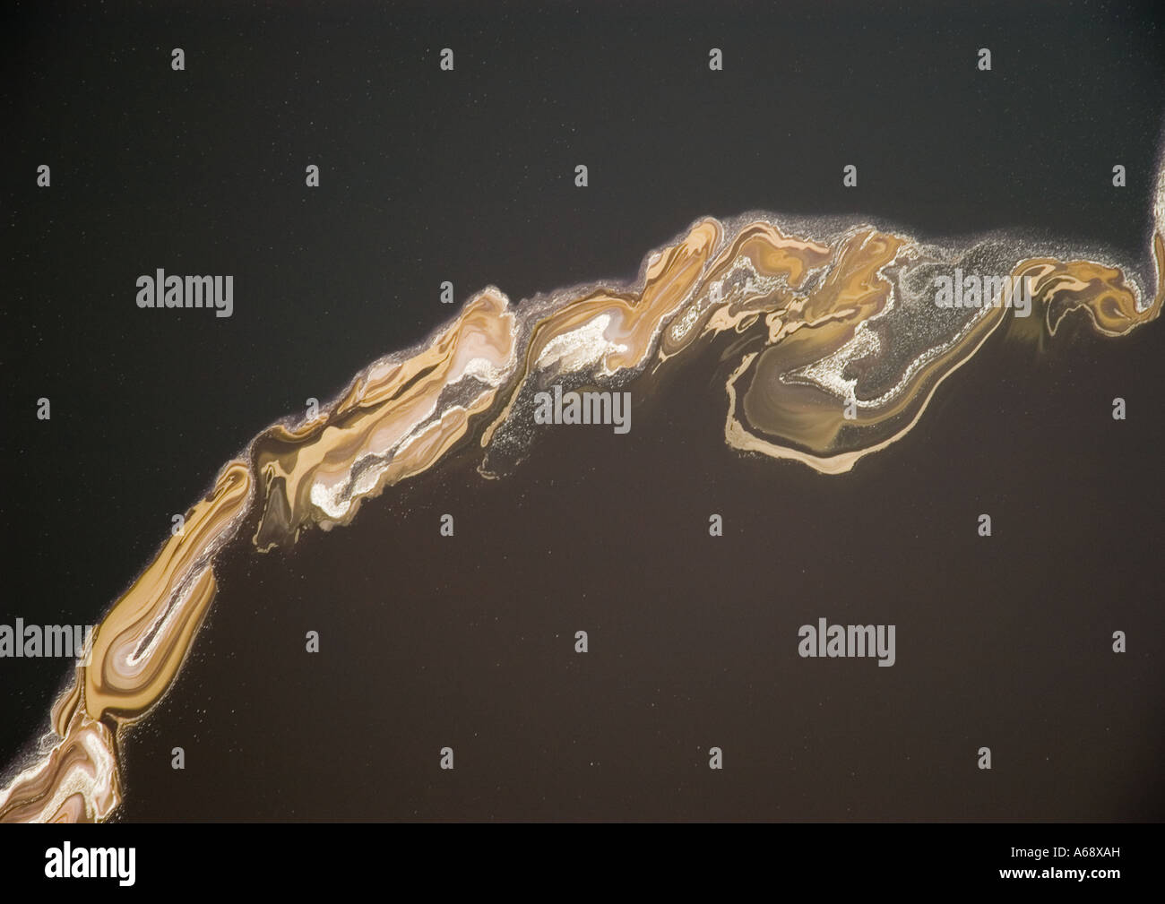 Plankton Stockfotos und bilder Kaufen Alamy