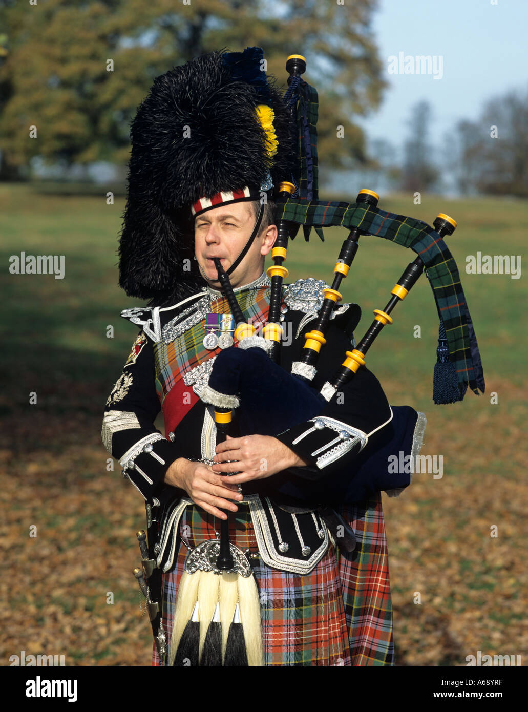 Traditionelle schottische Piper. Stockfoto