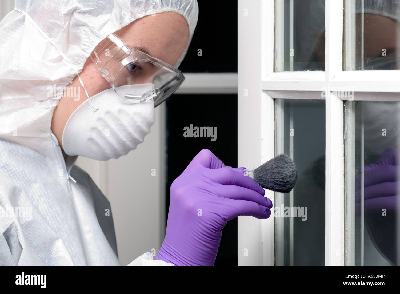 Forensische Offizier Staubwischen Fenster für Drucke Stockfoto
