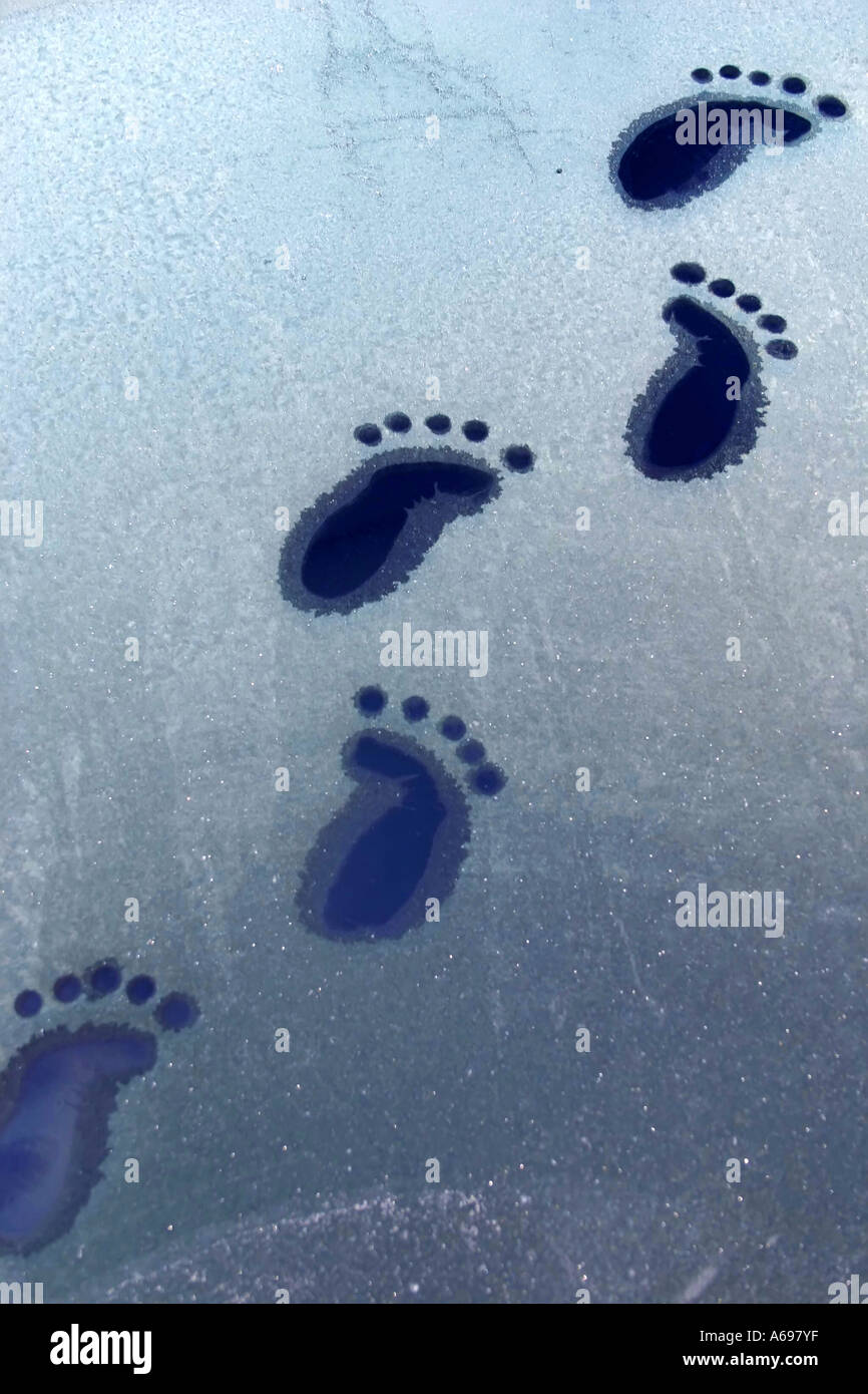 Lustige Fussspuren im Eis Stockfoto