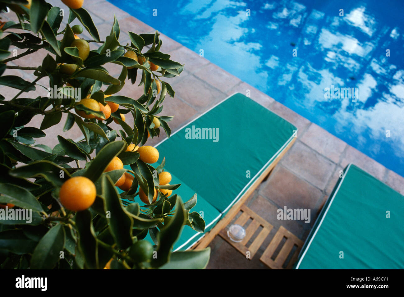 Capri Italien Anacapri Orange Tree & liegen am Rand des Schwimmbades des Capri Palace Hotel Stockfoto