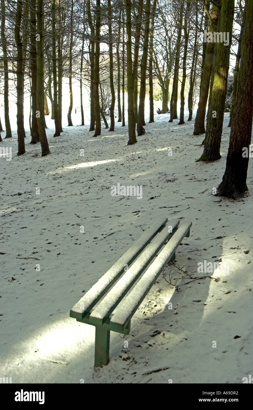 Bank am Parkhall Landschaft Park Stockfoto