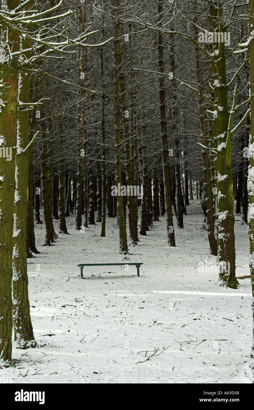 Bank am Parkhall Landschaft Park Stockfoto