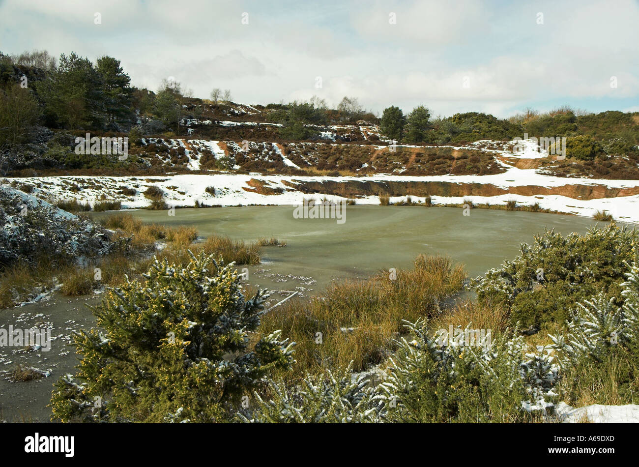 Pool und Schnee im winter Stockfoto