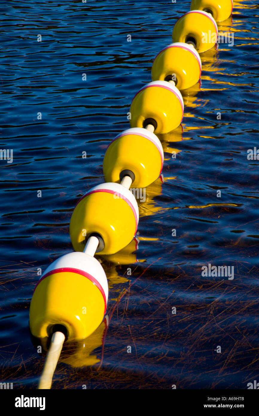 Reihe von bunten Schwimmbereich schwimmt Stockfoto