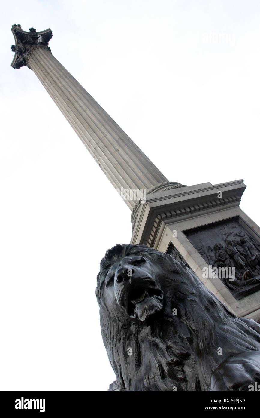 Nelson s Spalte in Trafalgar Square-London-UK Stockfoto