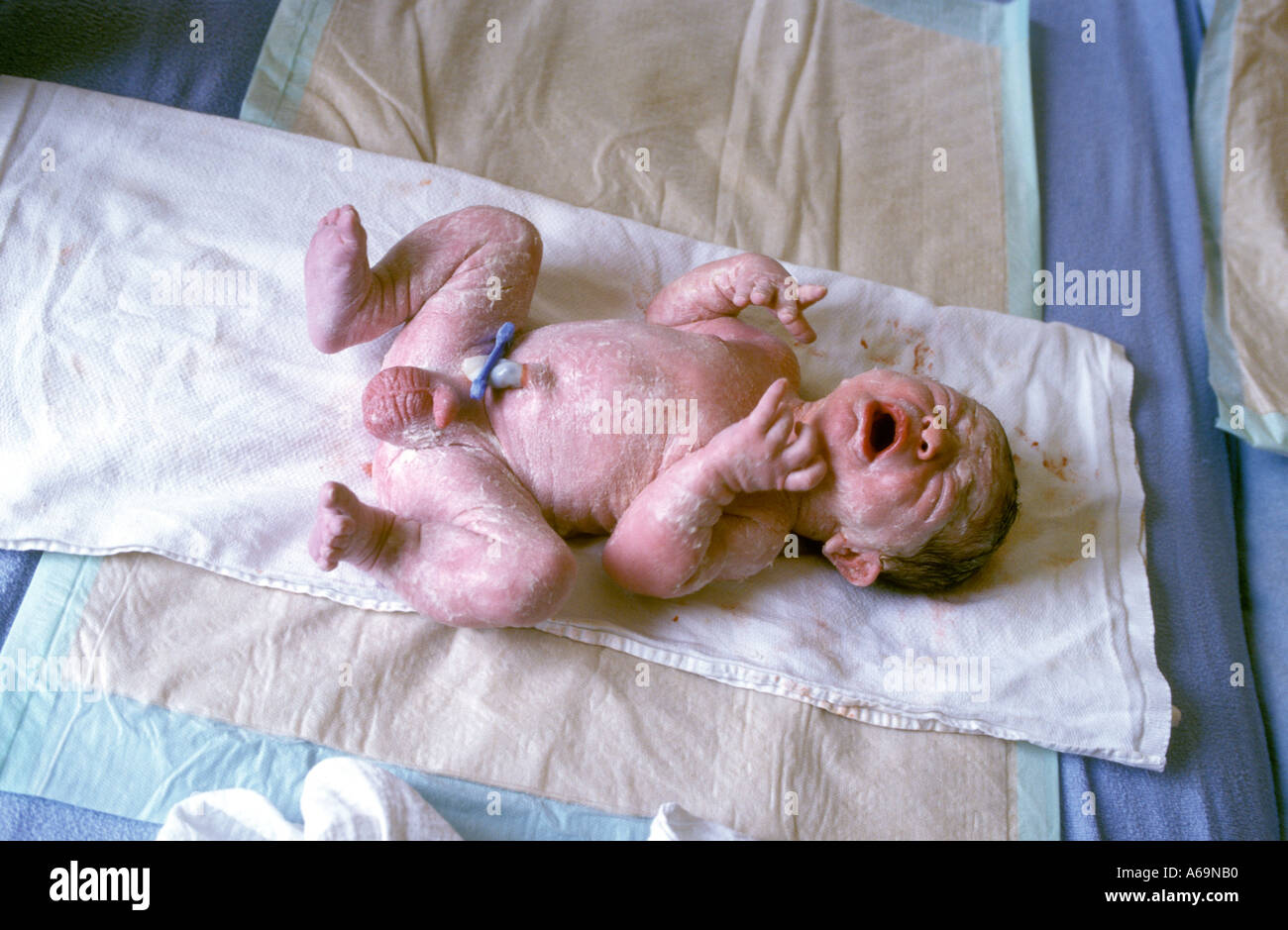 neugeborenes baby Stockfoto