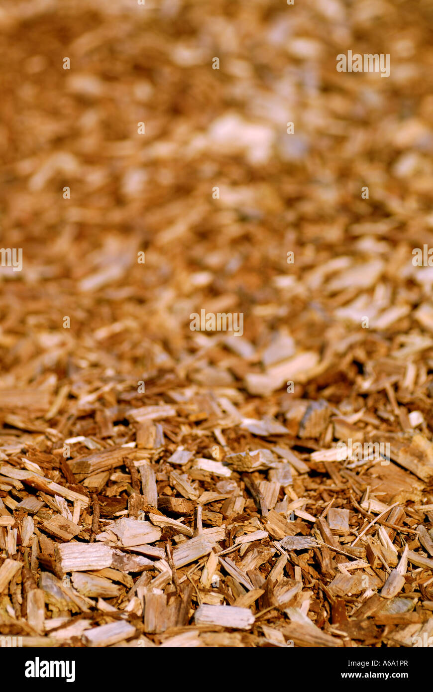 Hackschnitzel, für verschiedene Zwecke, insbesondere die Erzeugung von Strom genutzt. Stockfoto