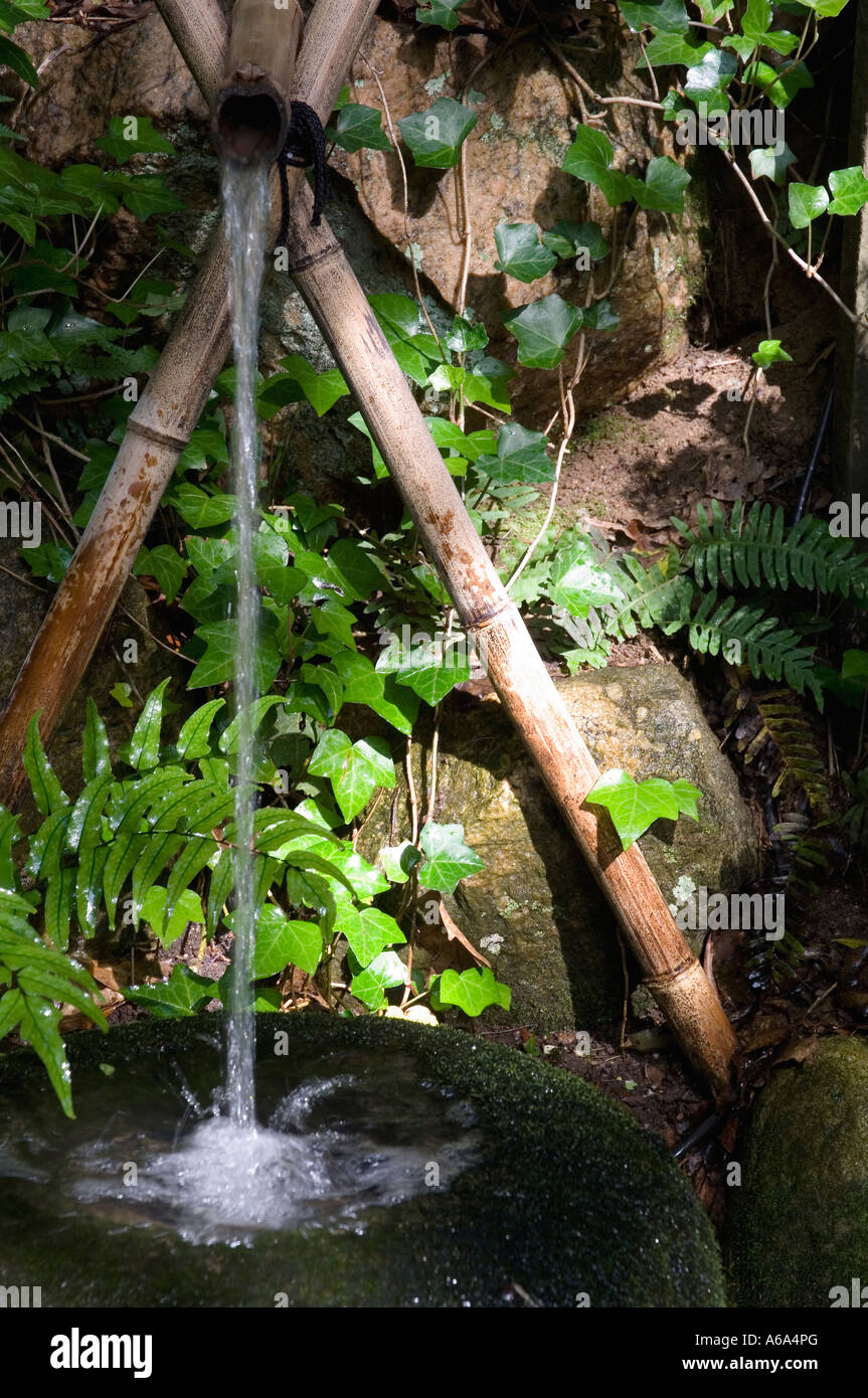 Bambus garten wasser -Fotos und -Bildmaterial in hoher Auflsung  Alamy