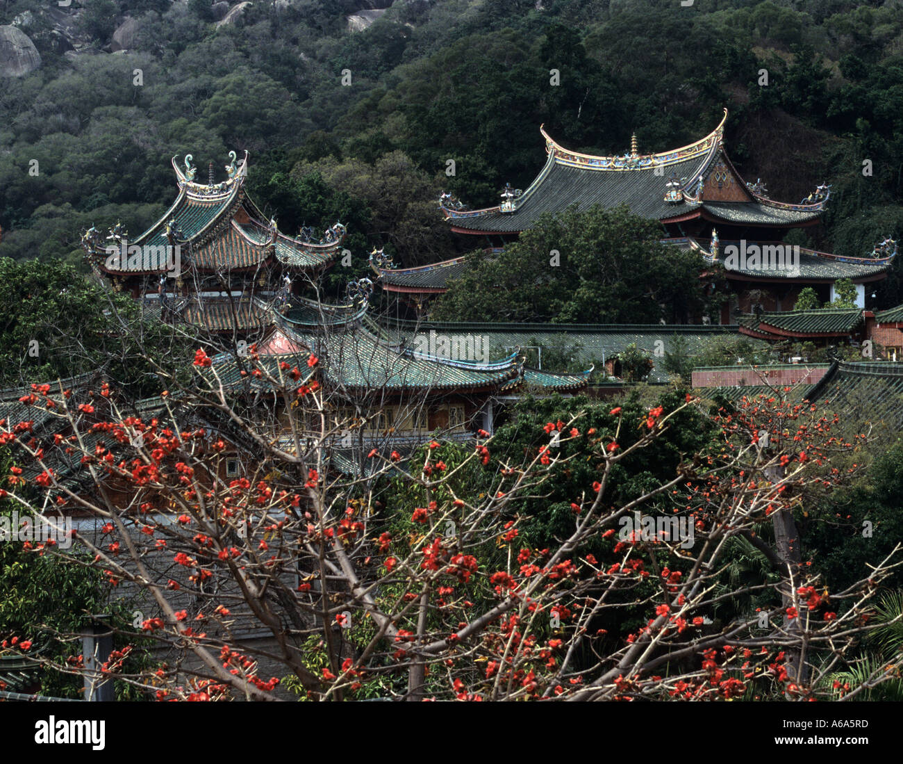 Xiamen Nanputuo buddhistischen Tempel, Fujian China 2005 Stockfoto