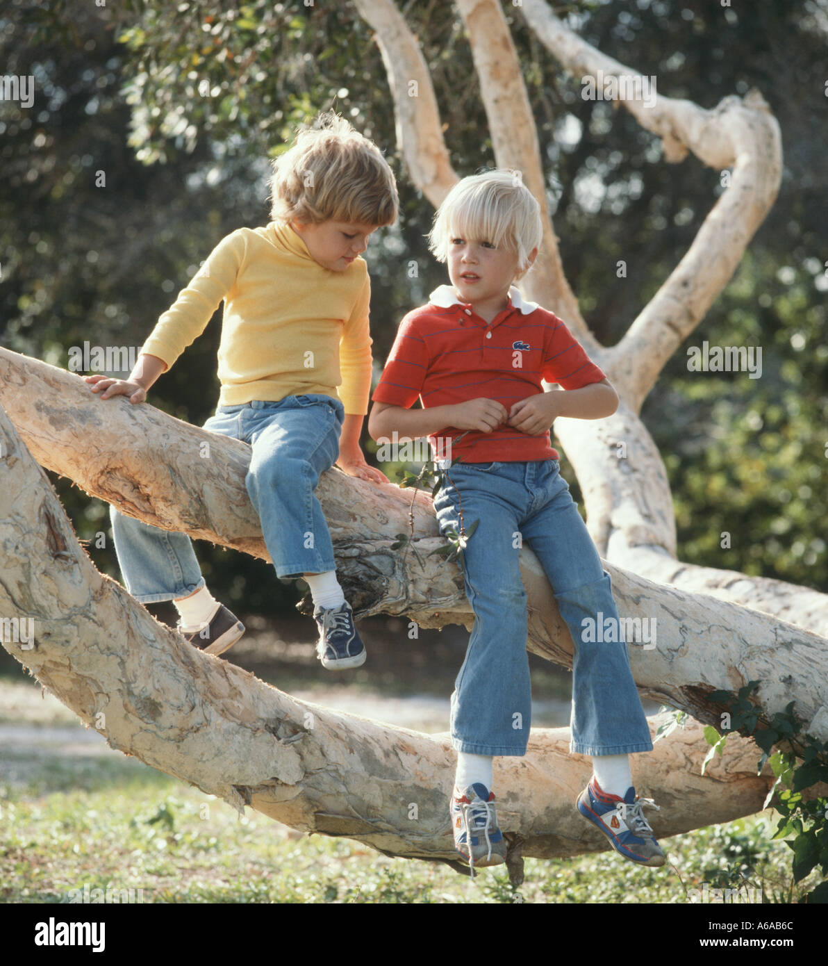 Kleine Jungen und Mädchen im Baum sitzen Stockfoto