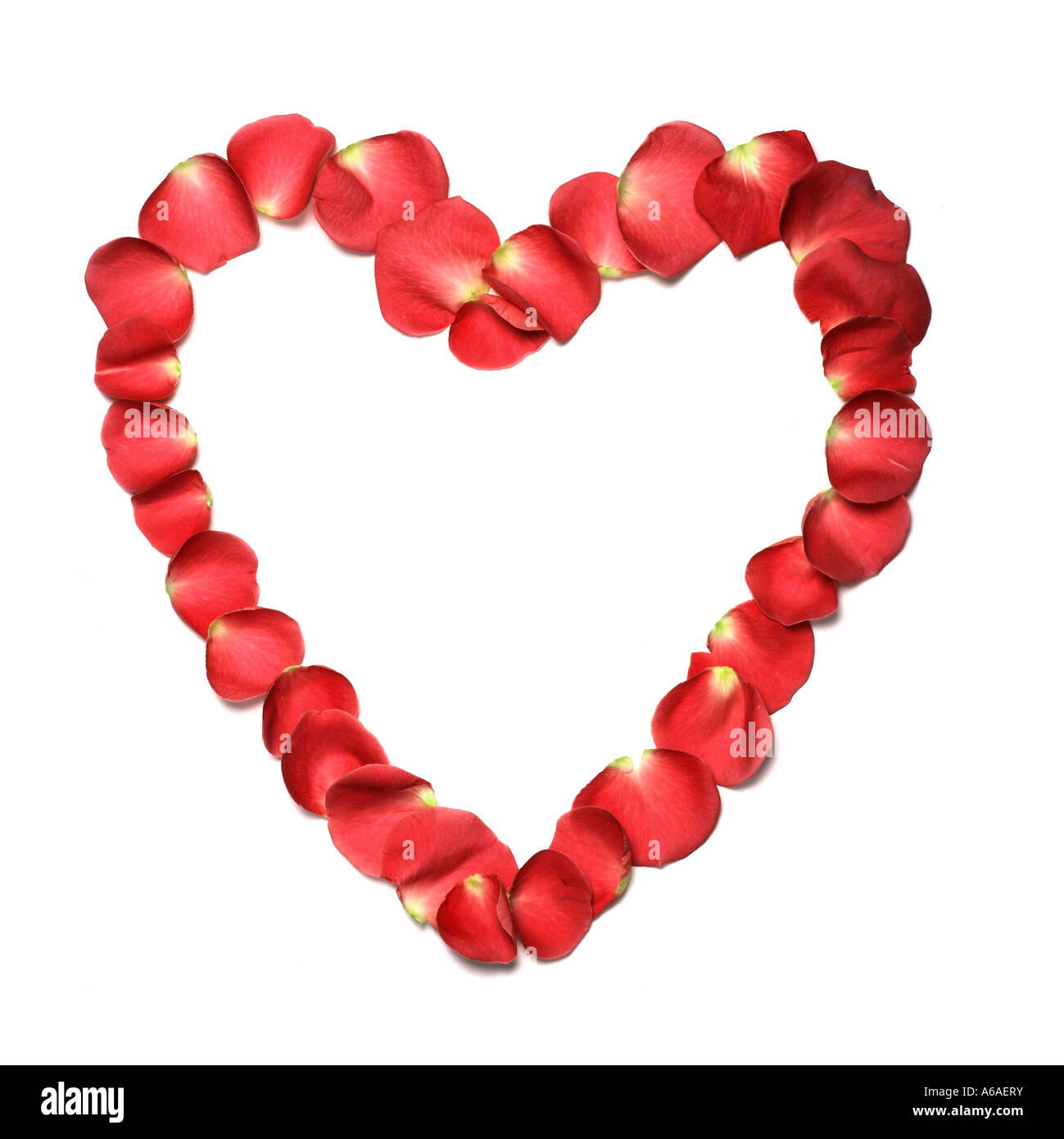 Herz aus roten Rosenblättern Stockfoto