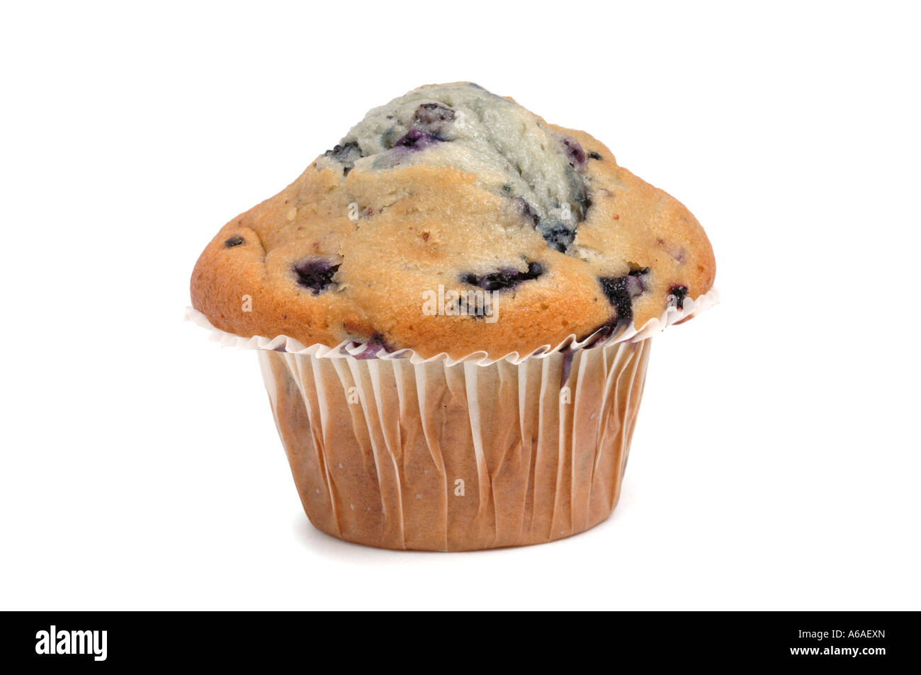 Bluberry Muffin Stockfoto