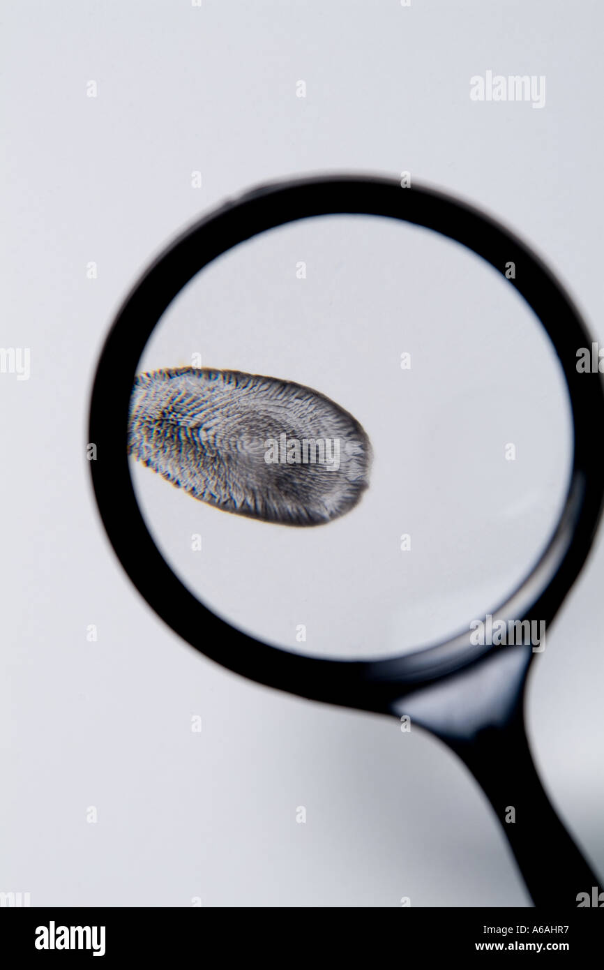 Fingerabdruck in Lupe vergrößert Stockfoto