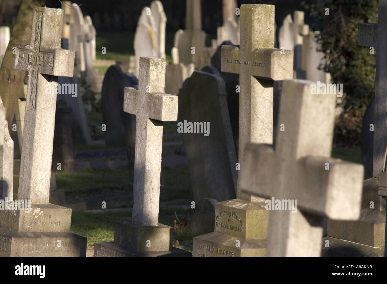 Sterblichkeit Stockfoto