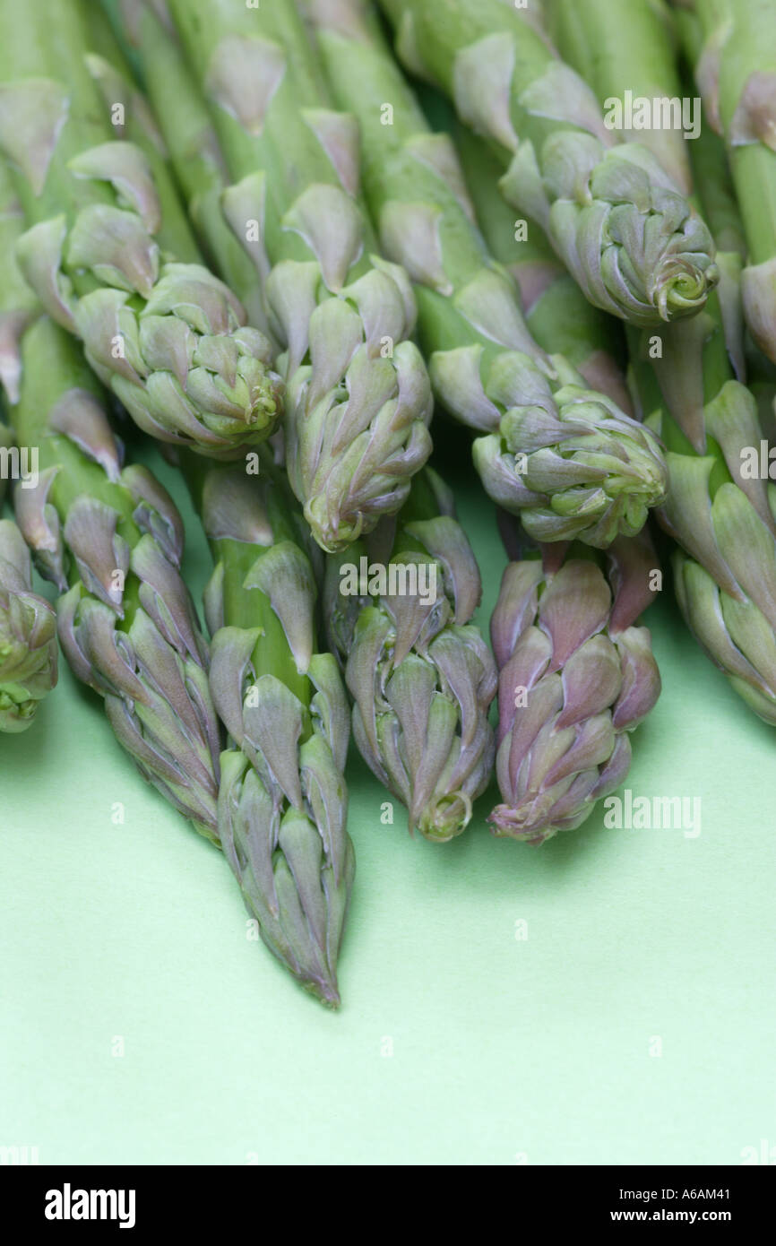 Bündel von homegrown, organische Spargelspitzen oder Tipps, close-up. Stockfoto