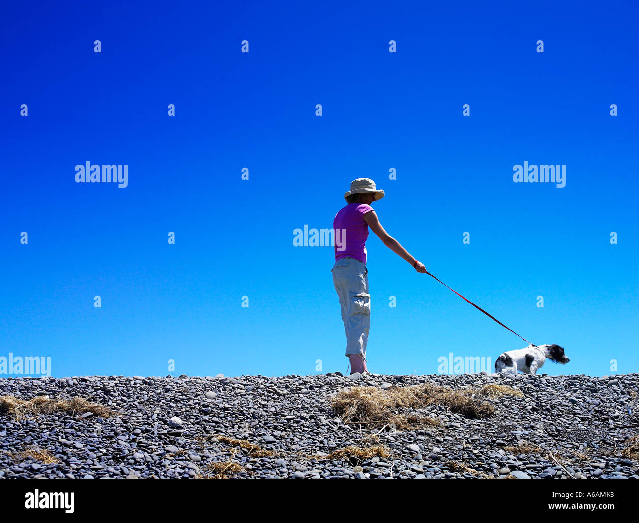 Frau mit Hut im Sommer zu Fuß ihr junger Welpe Hund Strand entlang am Horizont mit dem Hund an der Leine ziehen Stockfoto