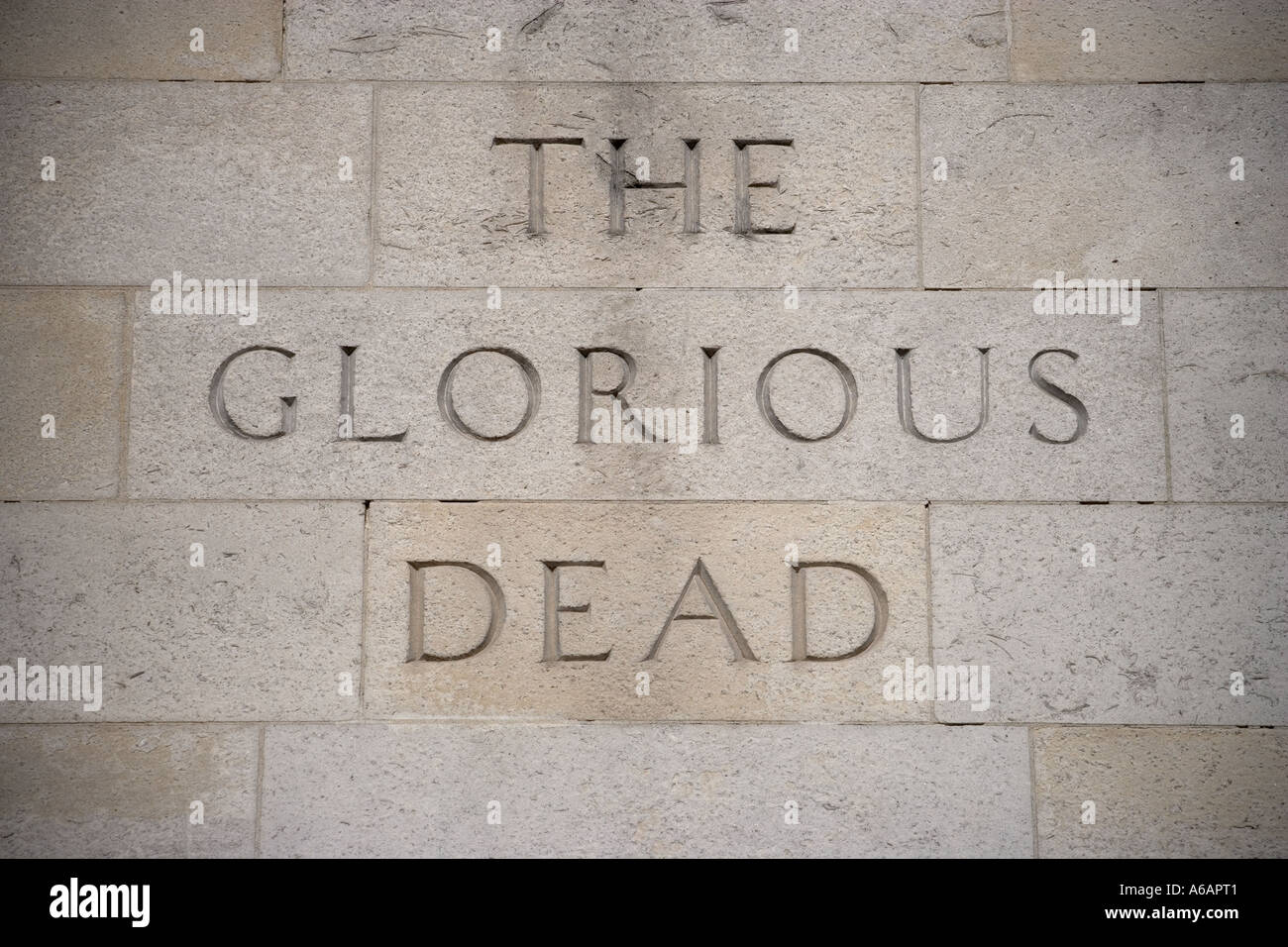 Die glorreichen Toten Krieg Denkmal Whitehall London England Stockfoto