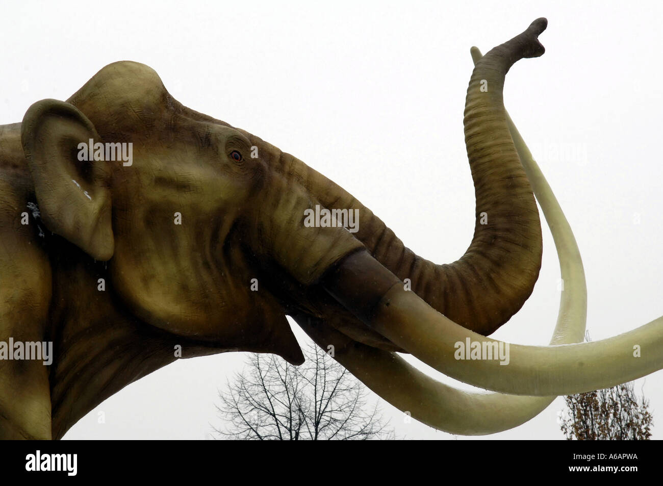 Mammut Elefanten Dinosaurier Uralte Kreatur Prahistorischen